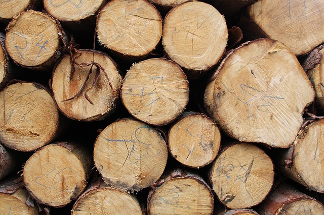 Surové dřevo se dá použít takřka na vše.